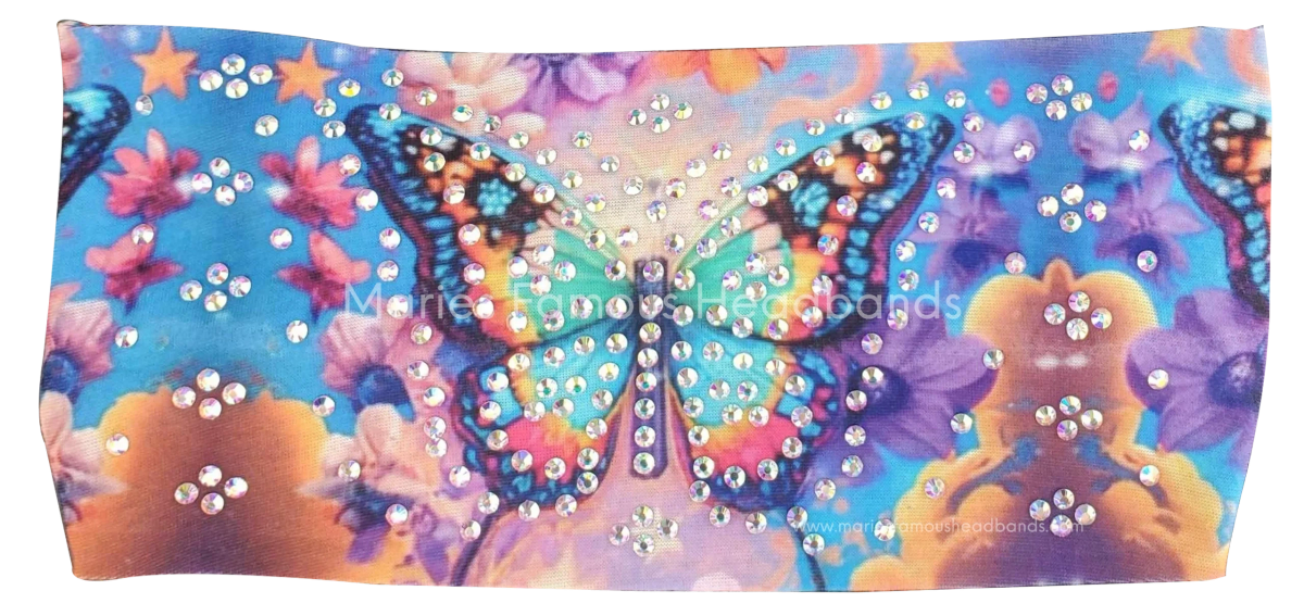 Colorful Butterfly