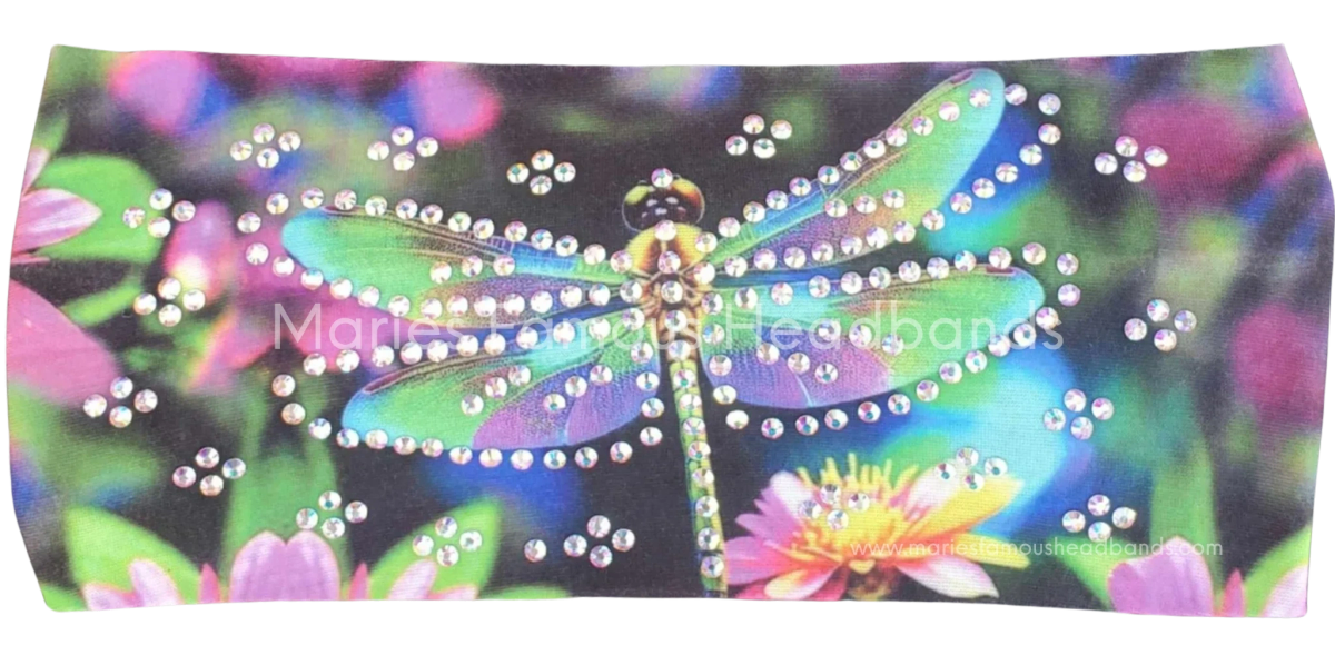Colorful Dragonfly