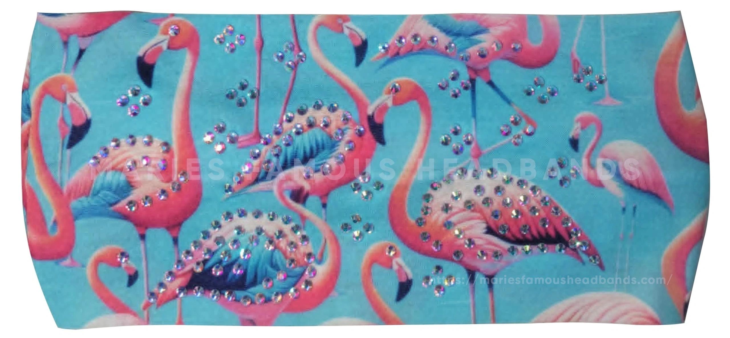 Flamingos